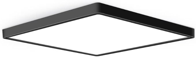 12inch 24W LED Flush Mount Ceiling Light, 3000K Square LED Ceiling Light by theBingotec