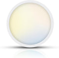 TOPELER 12 Inch Flush Mount Ceiling Light, 5 Color Temperatures Selectable by TOPELER