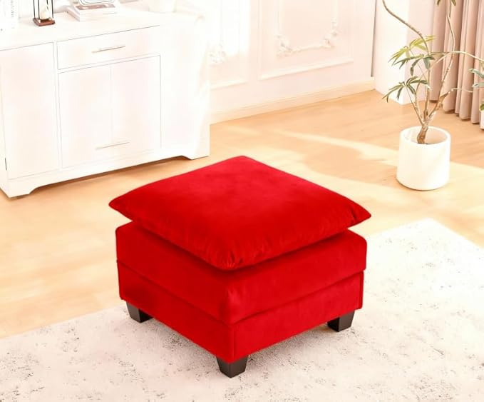 Loveseat Sofa Cloud Sofa Couch 50'', Modern Loveseats 2 Seat Couch by MUDANT