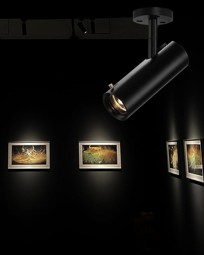 LED Ceiling Spotlight, 9w Cob Ceiling Spot Light, Zoomable Light, Narrow Beam by Gpaillumic