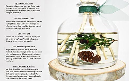 LOVSPA Reed Diffuser Set, Winter Forest Pine Scented Oil Diffuser - Image 3