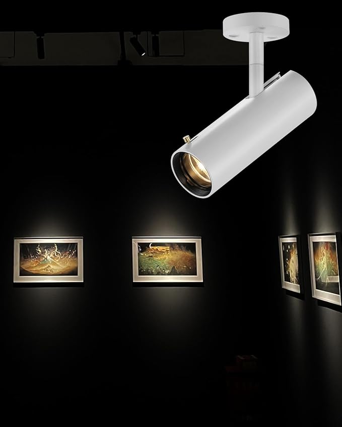 LED Ceiling Spotlight, 9w Cob Ceiling Spot Light, Zoomable Light, Narrow Beam by Gpaillumic