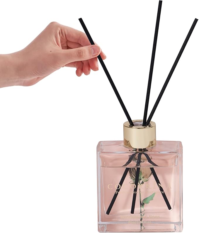COCORRÍNA Reed Diffuser Set of 3-3 Pack/ 3.04 Fl.oz Diffuser - Image 4