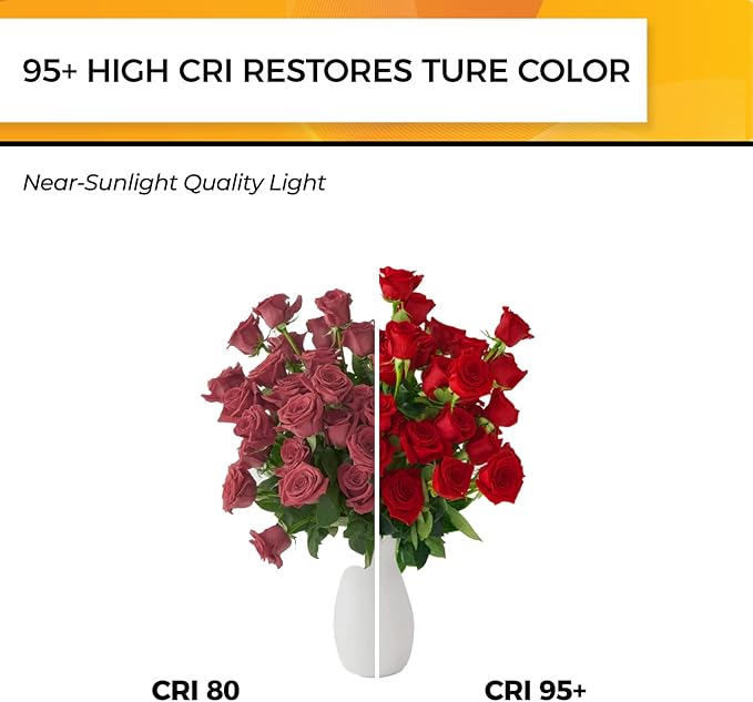 Hizashi LED Edison Bulbs Dimmable, E26 LED Bulb 60 watt, 2700K Soft Warm White - Image 5