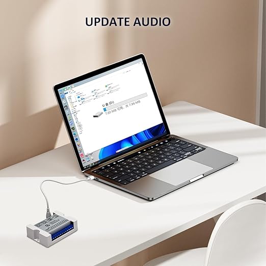 Voice Playback Module with 1GB Card, 80W Low Lever Trigger DC 9-24V CH358D Chip - Image 8