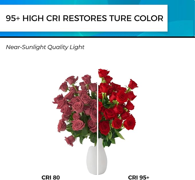 Hizashi E26 Edison Bulb 60 Watt LED, 4000K Dimmable Light Bulbs, ST19 Vintage - Image 4
