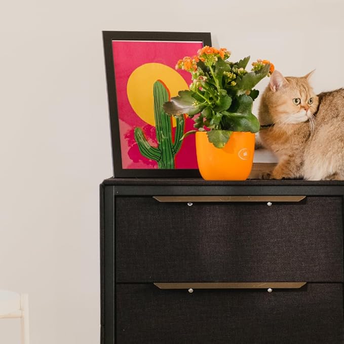tinge Naima Premium Fabric Dresser - Image 7