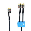 Arklove 3ft Sound Channel swicher 2 Female to 4 Male RCA Switch Selector 2 in 1 by Arklove