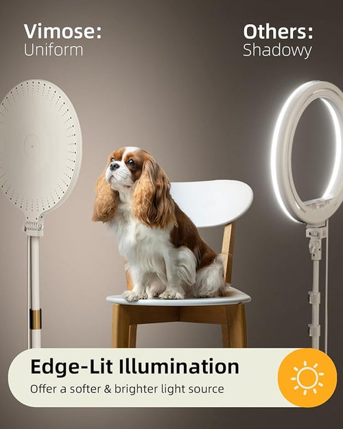 10.5" Ring Light with Stand and Phone Holder - Image 2