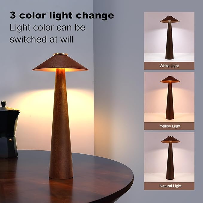 Battery Operated LED Table Lamps, 2000mAh Cordless Desk Lamp - Image 2