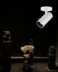 LED Ceiling Spot Light, 3W Cob Zoomable Spotlight, Small Angle Free Adjustable by Gpaillumic
