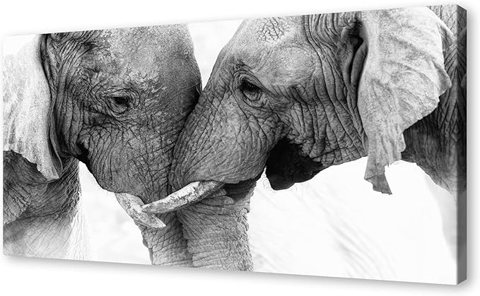 DZL Art D73098 Black and White Elephants Entwine Wall Art Canvas Painting Ready by DZL+Art