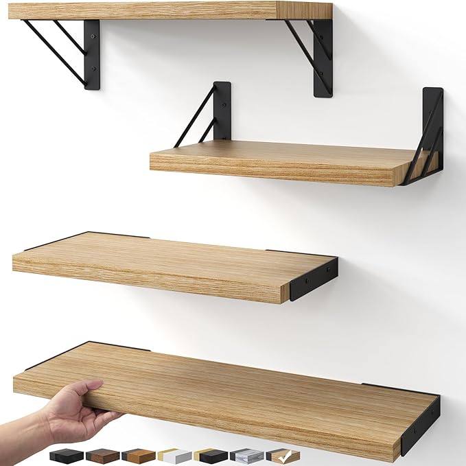 BAYKA Shelves for Bedroom Decor, Floating Wall Shelf for Living Room Kitchen by BAYKA