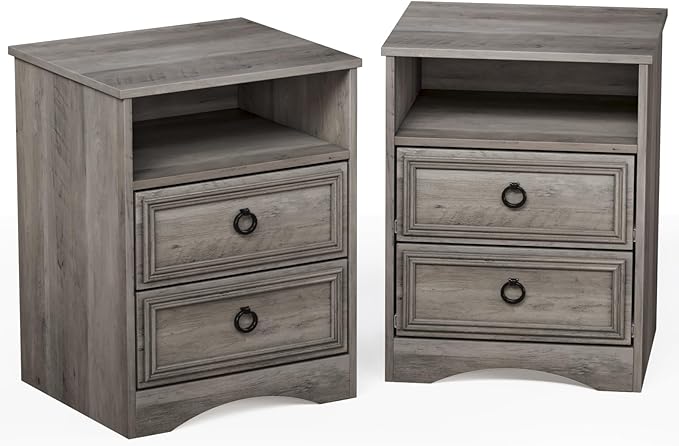 Set of 2 Nightstand with 2 Drawers, Large Accent Bed Side Table and End Table by WelcometoHolliWill