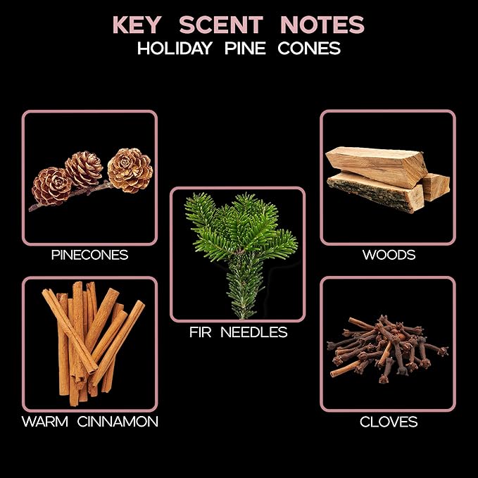 LOVSPA Reed Diffuser Set, Holiday Pine Cones Scented Oil Diffuser - Image 3