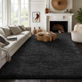 Ophanie Upgrade 6x9 Rugs for Living Room, Dark Black Fluffy Carpet Large Fuzzy by Ophanie