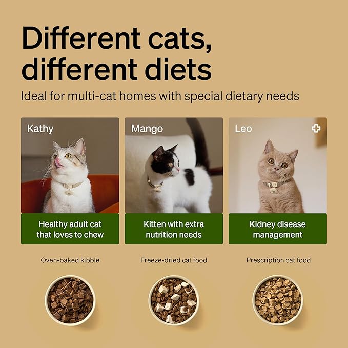 PETLIBRO RFID Automatic Cat Feeder, Collar Sensor-Activated Personalized Meals - Image 5