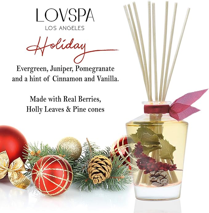 LOVSPA Reed Diffuser Set, Holiday Red Currant & Woods Scented Oil Diffuser - Image 3