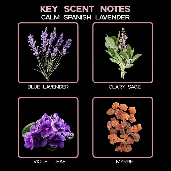 LOVSPA Reed Diffuser Set, Calm Spanish Blue Lavender Scented Oil Diffuser - Image 9
