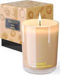 96NORTH | Pure Coconut Candle | 100% Natural Soy Wax | One Wick Jar Candle | by 96NORTH%C2%AE