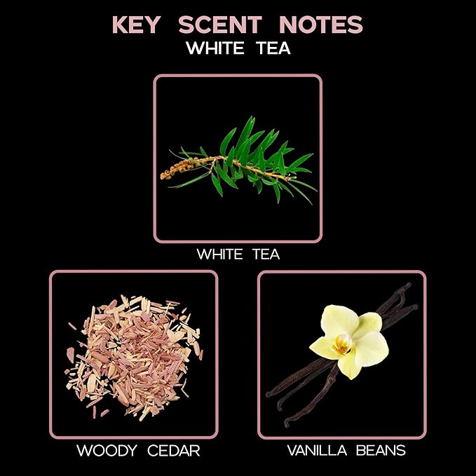 LOVSPA Reed Diffuser Set, Home Fragrance Accessories - Image 8