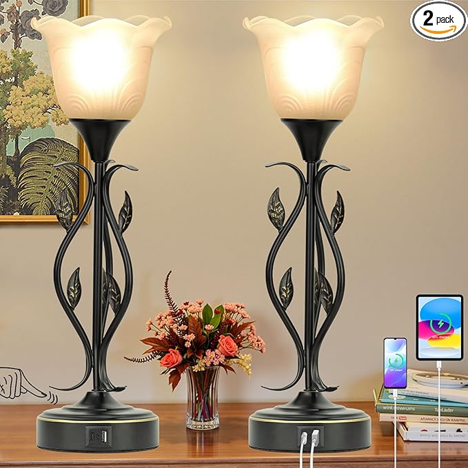 Bedside Lamps Set of 2, Table Lamp by Basdien