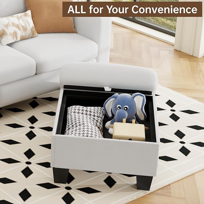 ZeeFu Sectional and Sofa Couches - Image 6