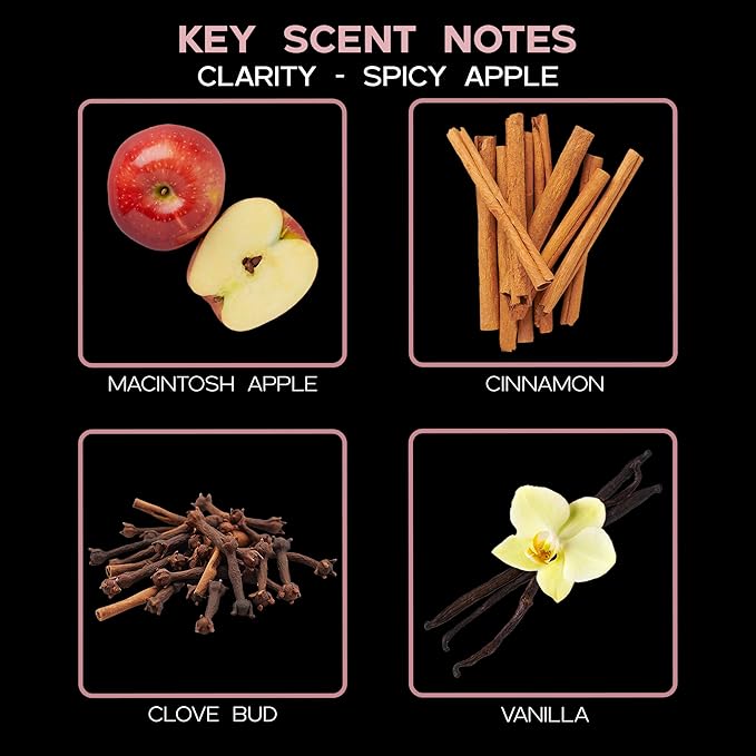 LOVSPA Reed Diffuser Set, Clarity Spicy Apple Cinnamon Scented Oil Diffuser - Image 8