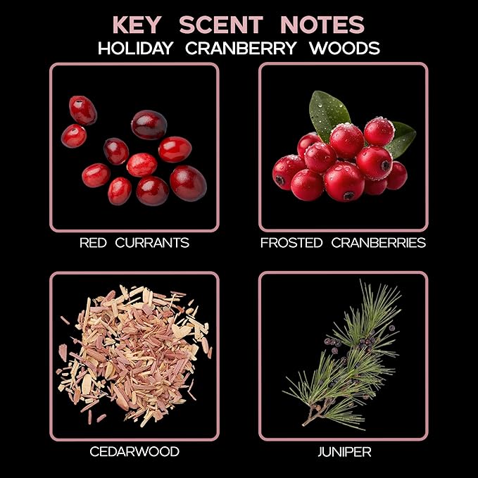 LOVSPA Reed Diffuser Set, Holiday Red Currant & Woods Scented Oil Diffuser - Image 3
