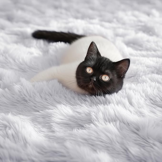 PAGISOFE White Fluffy Shag Area Rugs - Image 5