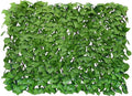 BYBAG Expandable Faux Ivy Fence Privacy Screen by Unknown