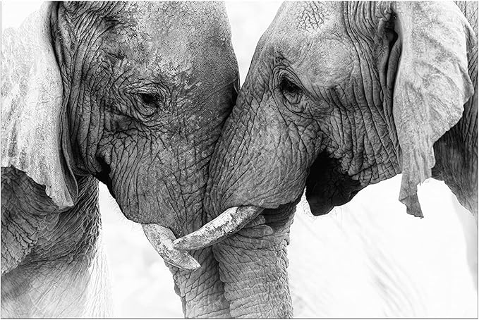 DZL Art D73081 Black and White Elephants Entwine Wall Art Canvas Painting Ready by DZL+Art