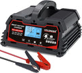 Battery Charger 40A, 12V/24V Lead Acid Smart Battery Charger, 12V LiFePO4 Car by Yinleader