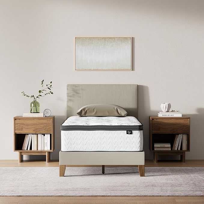 Signature Design by Ashley Chime Hybrid Twin 12" Mattress by SignatureDesignbyAshley