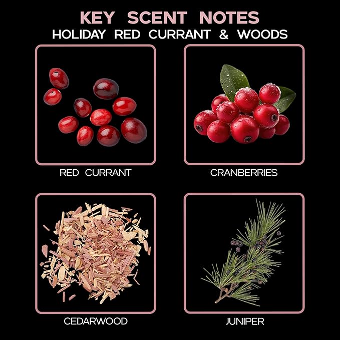 LOVSPA Reed Diffuser Set, Holiday Red Currant & Woods Scented Oil Diffuser - Image 7