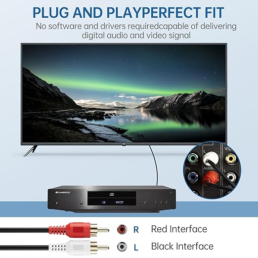 Sjorks RCA Cable 100ft, 2RCA Male to 2RCA Male, Audio Stereo Subwoofer Cable - Image 3