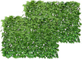 BYBAG Expandable Faux Ivy Fence Privacy Screen by Unknown
