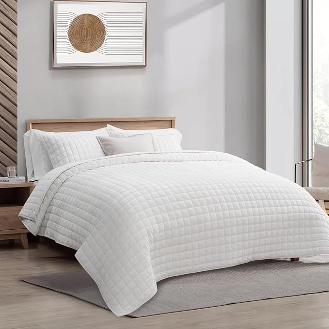 RECYCO Luxury Velvet Quilt Set Full Queen Size Bedding Sets, Ultra Soft Velvet - Image 3