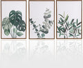 Sage Green Boho Framed Wall Art, Neutral Botanical Canvas Prints, Eucalyptus & by Unknown