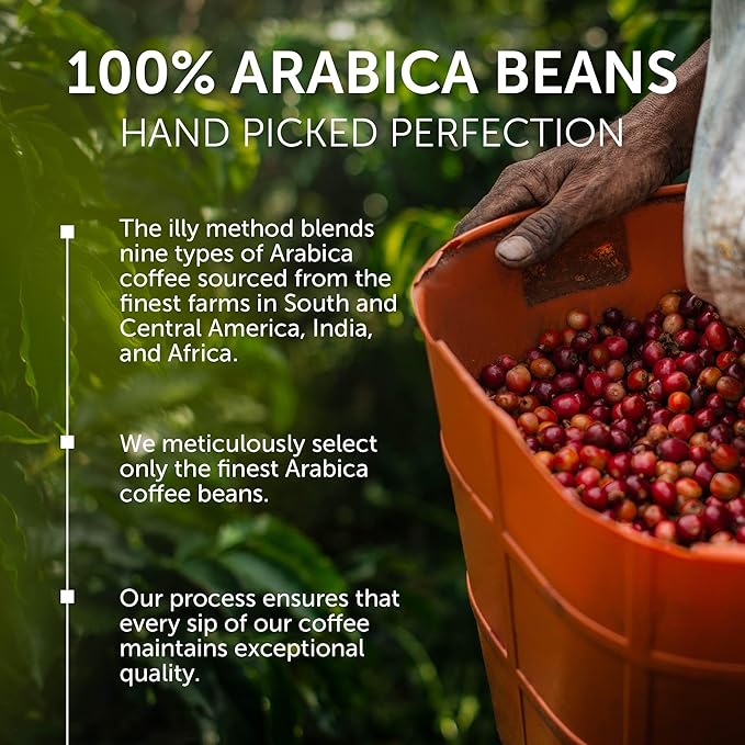 illy Whole Bean Coffee, Brasile Regenerative Agriculture Medium Roast, 100% - Image 4
