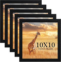 TKYGU 10 x10 Picture Frame Set of 5 by TKYGU