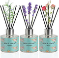 Binca Vidou Reed Diffuser Set of 3, Vanilla Aromatherapy Oil Diffusers by BINCAVIDOU