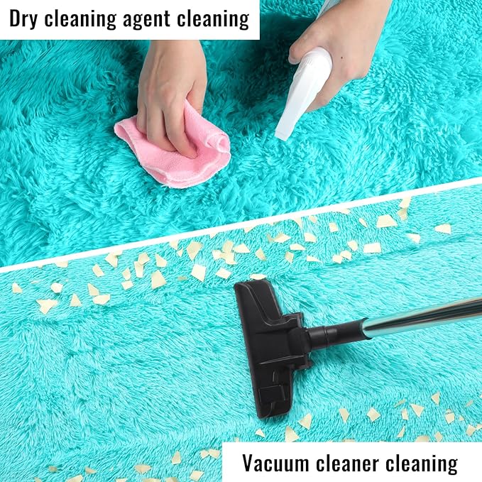 PAGISOFE Teal Rug Fluffy Shag Area Rugs - Image 9