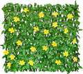 Sumery Expandable Fence Privacy Screen by Unknown