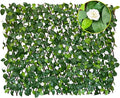 BYBAG Expandable Faux Ivy Fence Privacy Screen by Unknown
