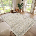 Washable 5x7 Area Rugs for Living Room, BoHo Non-slip Vintage Distress Rugs for by Hedwior