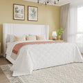 SHA CERLIN Queen Size Velvet Upholstered Platform Bed Frame by SHACERLIN