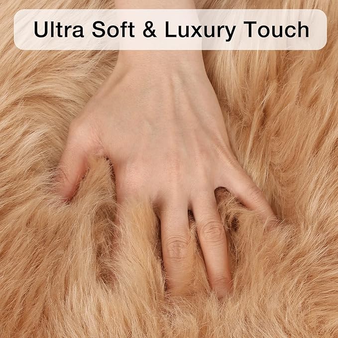 duduta Beige Faux Sheepskin Throw Rug 2x3 ft, Fluffy Shag Fur Chair Cover Small - Image 4
