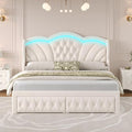 Keyluv King Bed Frame with LED Lights and 2 Storage Drawers, Velvet Upholstered by KeyluvHome