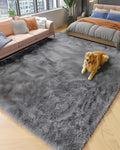 PAGISOFE Grey Fluffy Rugs for Bedroom 4x6 Area Rug Shag Rug for Kids Room Furry by PAGISOFE